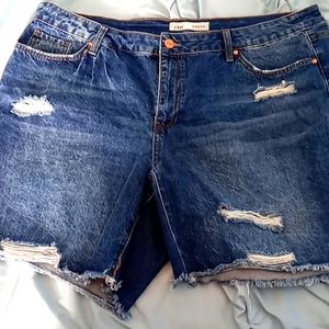 Denim Ripped Jean Shorts